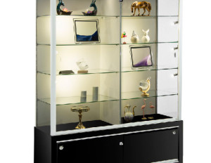TROPHY DISPLAY CASE